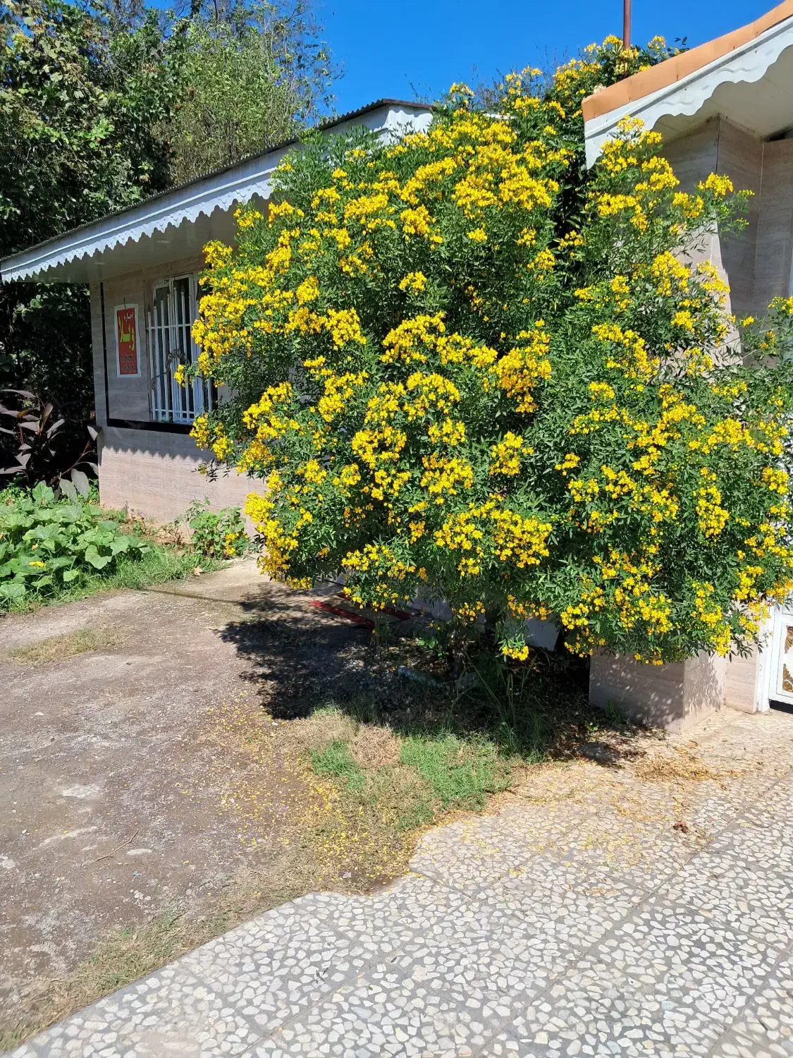 ویلا خانوادگی قاسمی ۲|اجارهٔ کوتاه‌مدت ویلا و باغ|کوچصفهان, |دیوار