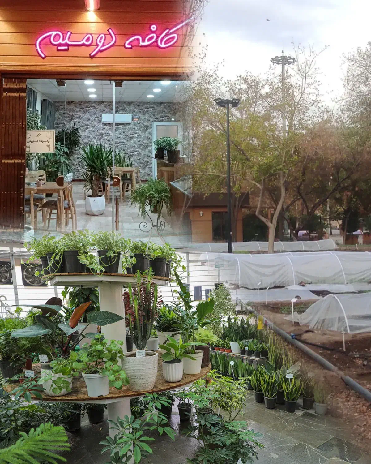 جذب نیرو در کافی‌شاپ و گلخانه|استخدام خدمات فروشگاه و رستوران|مشهد, حجاب (شهرک غرب)|دیوار