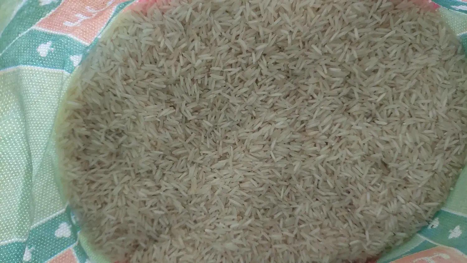بزنج پاکستانی کیهان سبز( اصلی)|خوردنی و آشامیدنی|مشهد, مشکینی (شهرک غرب)|دیوار