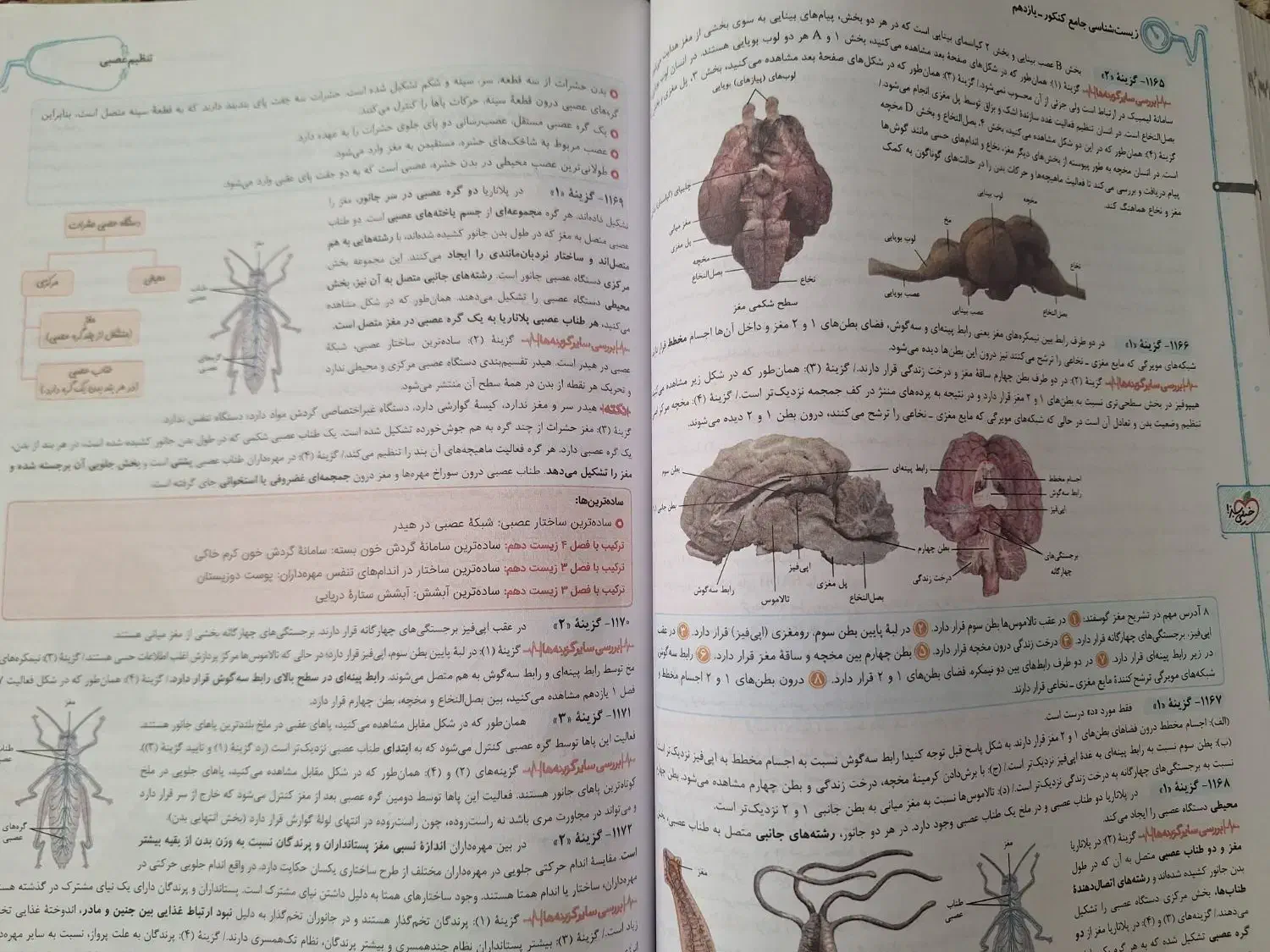 کتاب کار زیست جامع خیلی سبز دو جلد|لوازم التحریر|فردوس (خراسان), |دیوار