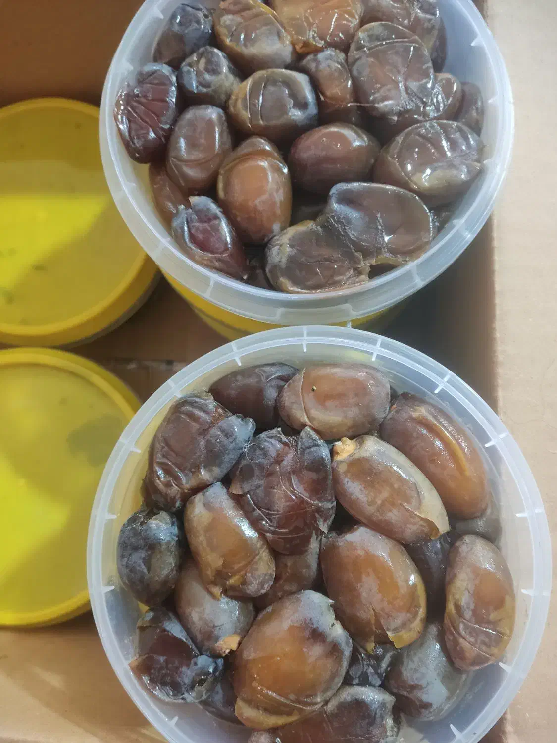رطب عسلی کبکاب|عمده‌فروشی|برخوار, |دیوار