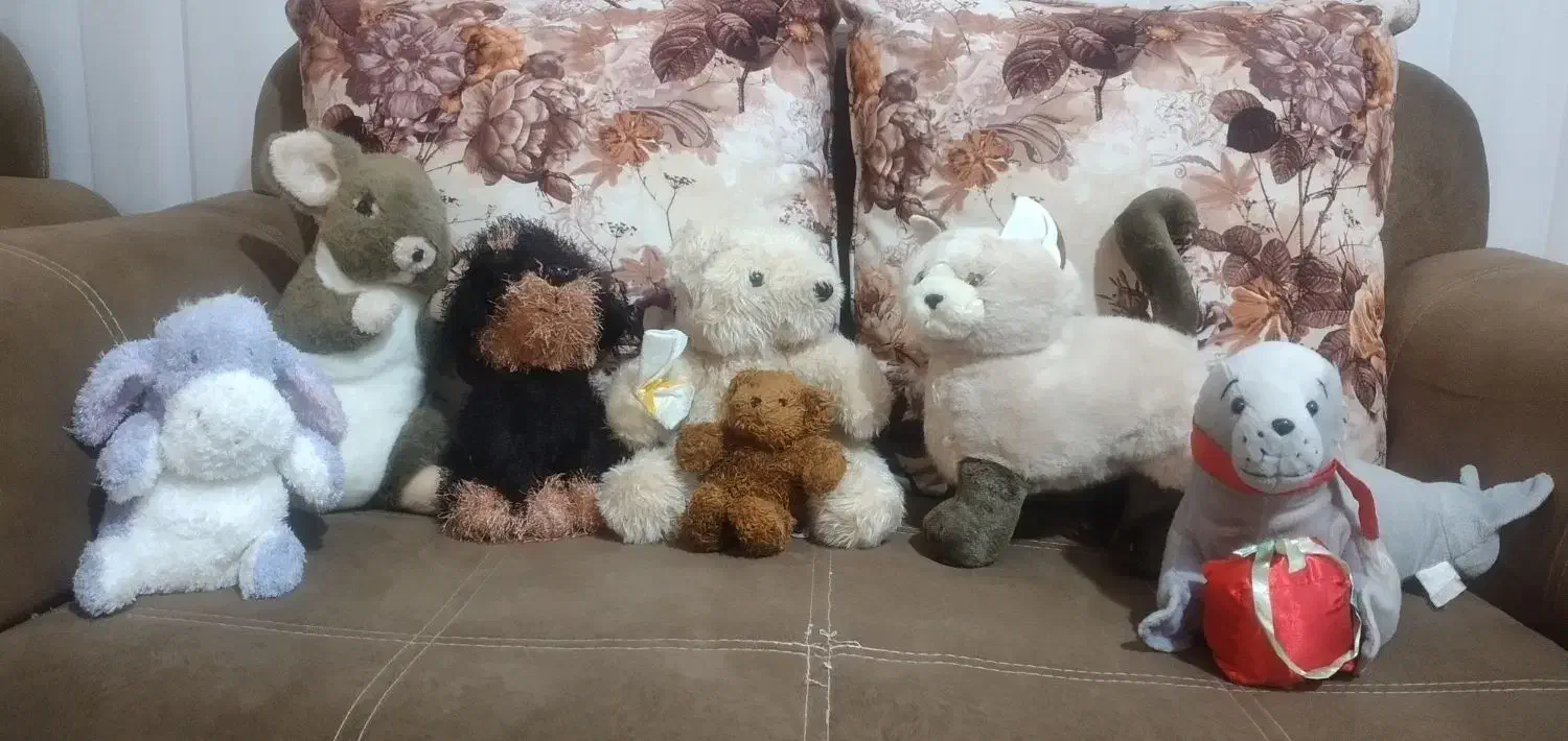 عروسک|اسباب‌‌بازی|بندرعباس, |دیوار