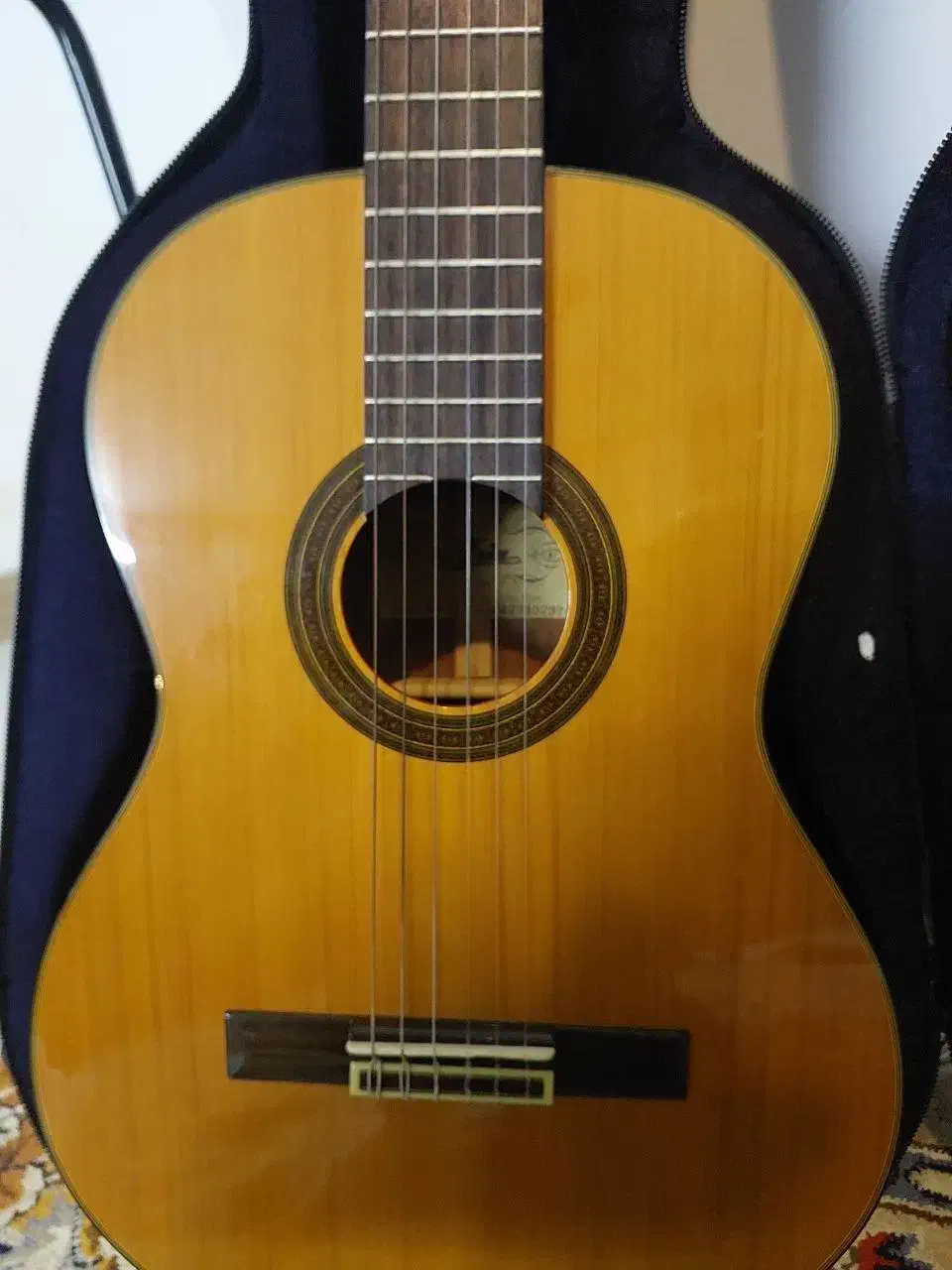 گیتار کلاسیک|گیتار، بیس، امپلیفایر|یزد, |دیوار