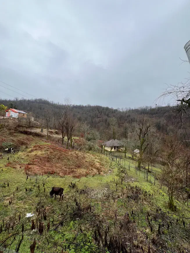 کارگر دامداری|استخدام سرایداری و نظافت|زنجان, |دیوار