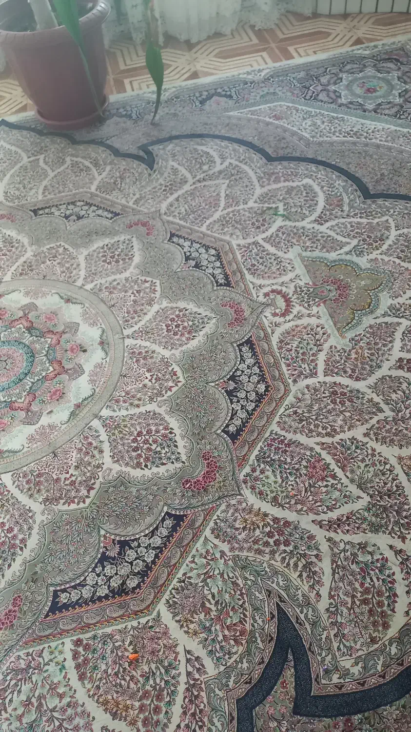 قالی ۱۲۰۰ شانه رنگ روشن|فرش|زرند, |دیوار