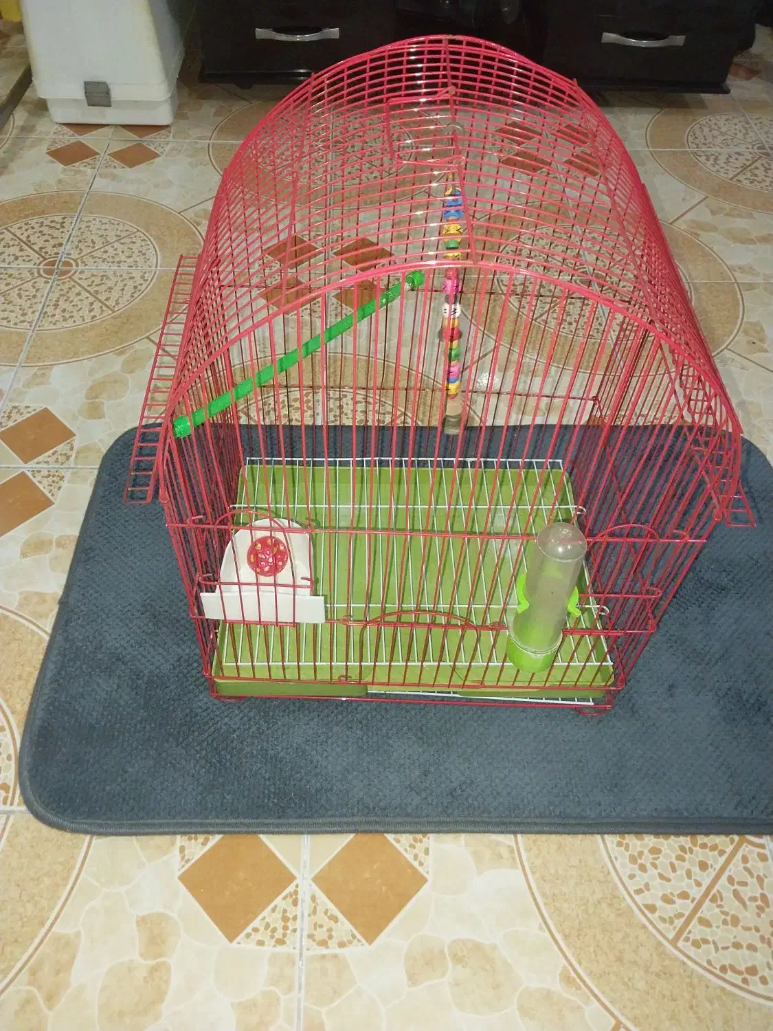 قفس طوطی|لوازم جانبی حیوانات|رشت, گلزاران|دیوار