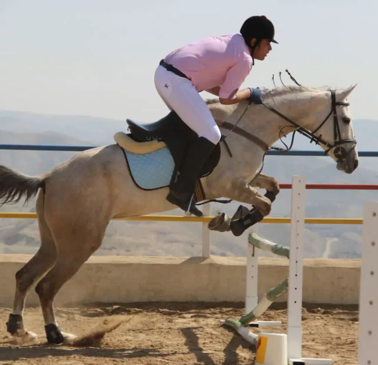 باشگاه سوارکاری شایان شرق|خدمات آموزشی|بومهن, |دیوار