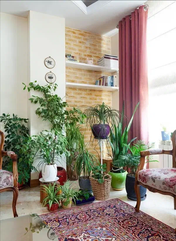 همخونه خانم همخانه مذهبی|اجارهٔ آپارتمان|مشهد, حرم مطهر رضوی|دیوار