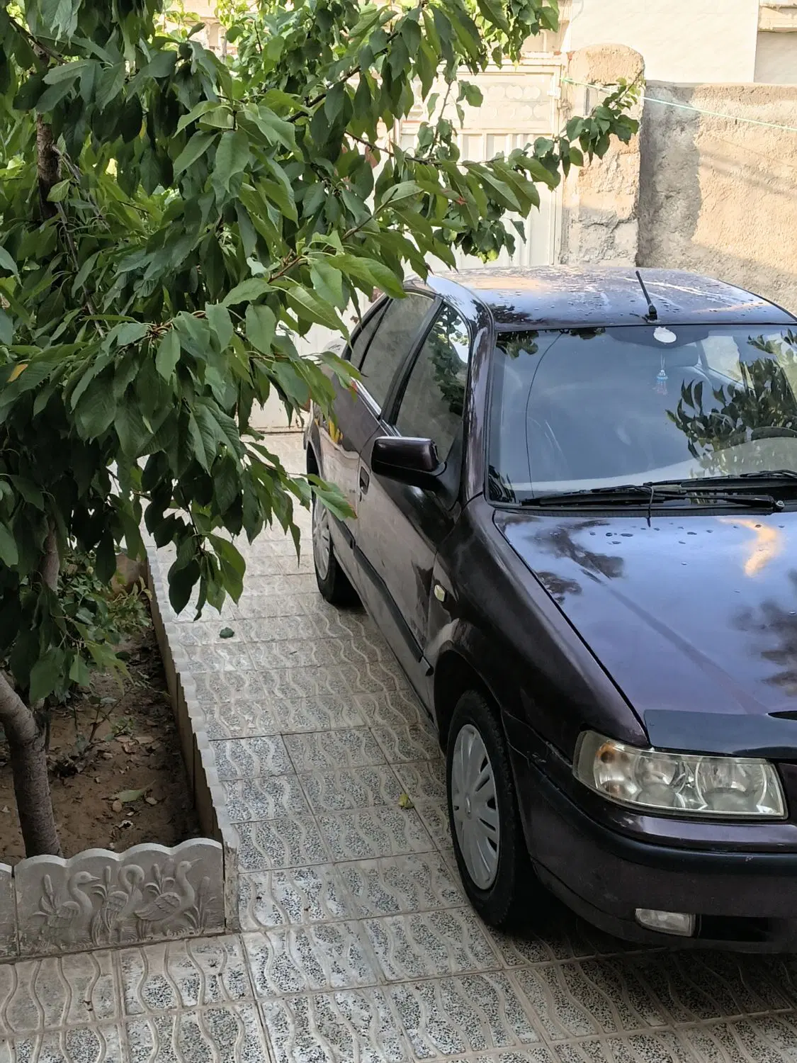 سمند|خودرو سواری و وانت|فارسان, |دیوار