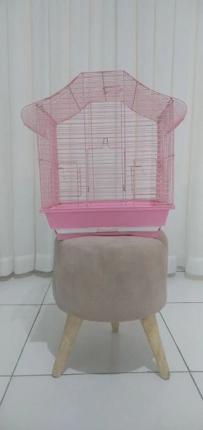 قفس برای طوطی|لوازم جانبی حیوانات|سنندج, |دیوار