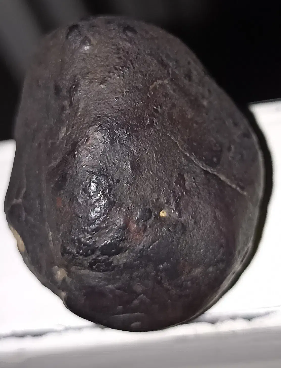 شهاب|کلکسیون اشیاء عتیقه|قزوین, |دیوار