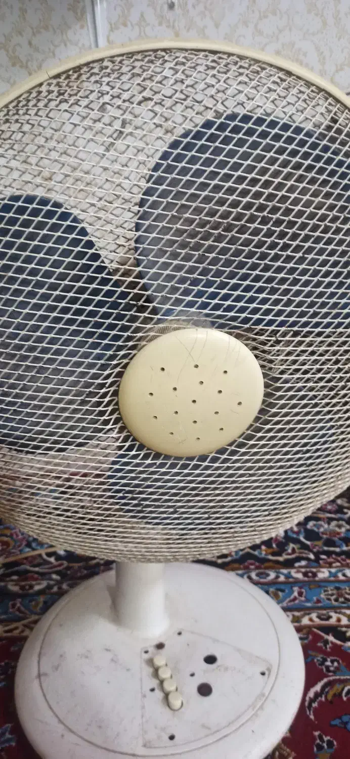 پنکه پارس خزر|پنکه و تصفیه‌کنندهٔ هوا|مشهد, شهرک شهید باهنر|دیوار