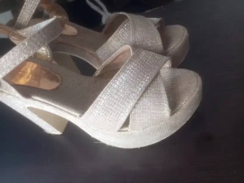 مجلسی|کیف، کفش، کمربند|سلماس, |دیوار