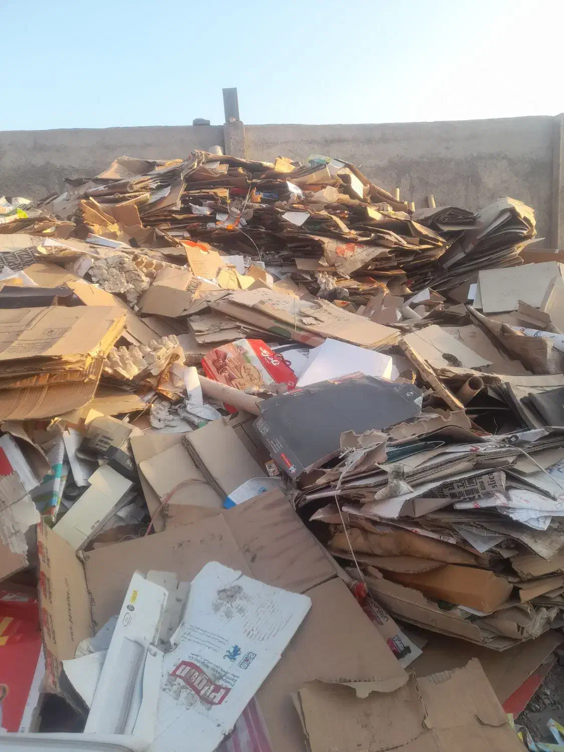 خرید وفروش ضایعات کارتن و مشما|عمده‌فروشی|شهریار, شهریار|دیوار