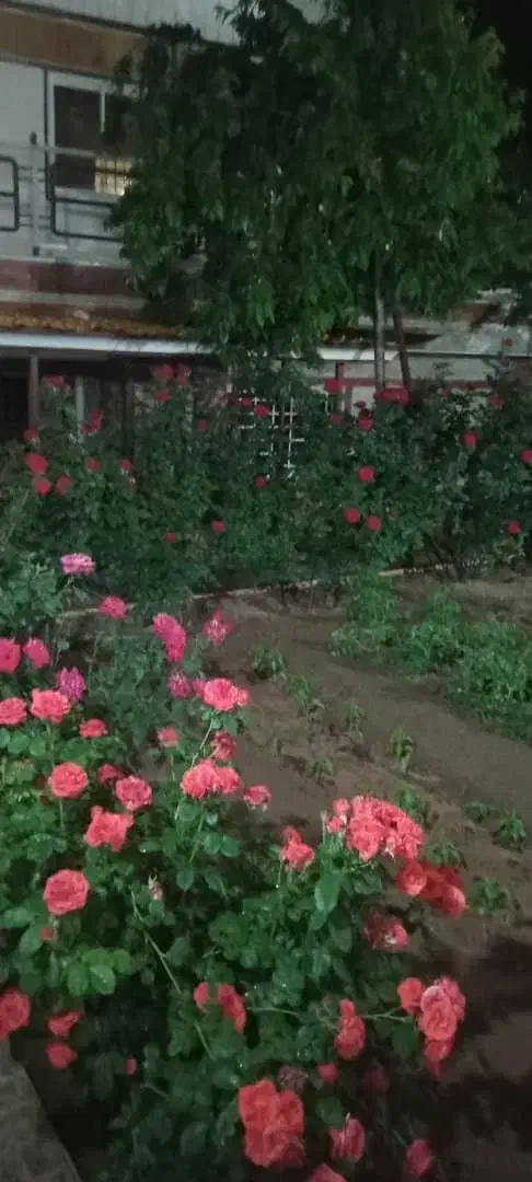 فروش فوری ویلای ، مسکونی تجاری|فروش خانه و ویلا|آبعلی, |دیوار