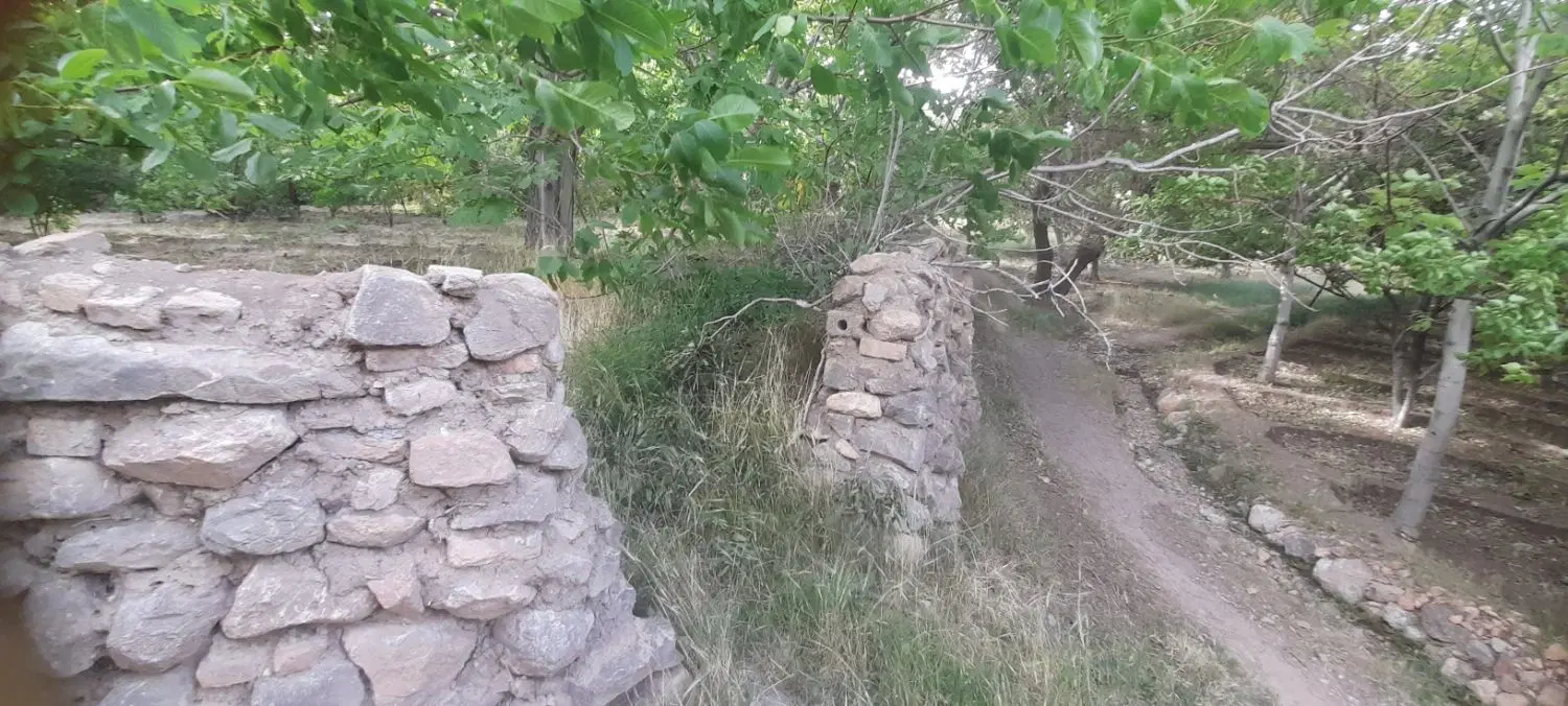 ملک باغ|فروش زمین و ملک کلنگی|باغ بهادران, |دیوار