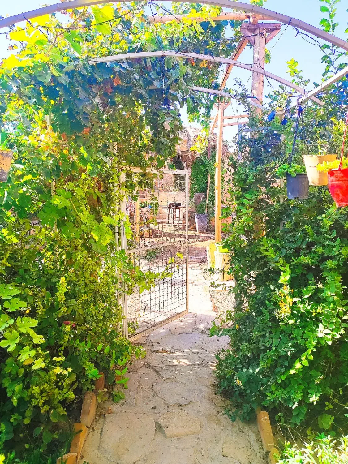 اجاره سوییت  خونه باغ سنتی اقامتگاه|اجارهٔ کوتاهمدت ویلا و باغ|مرودشت, فیروزی|دیوار