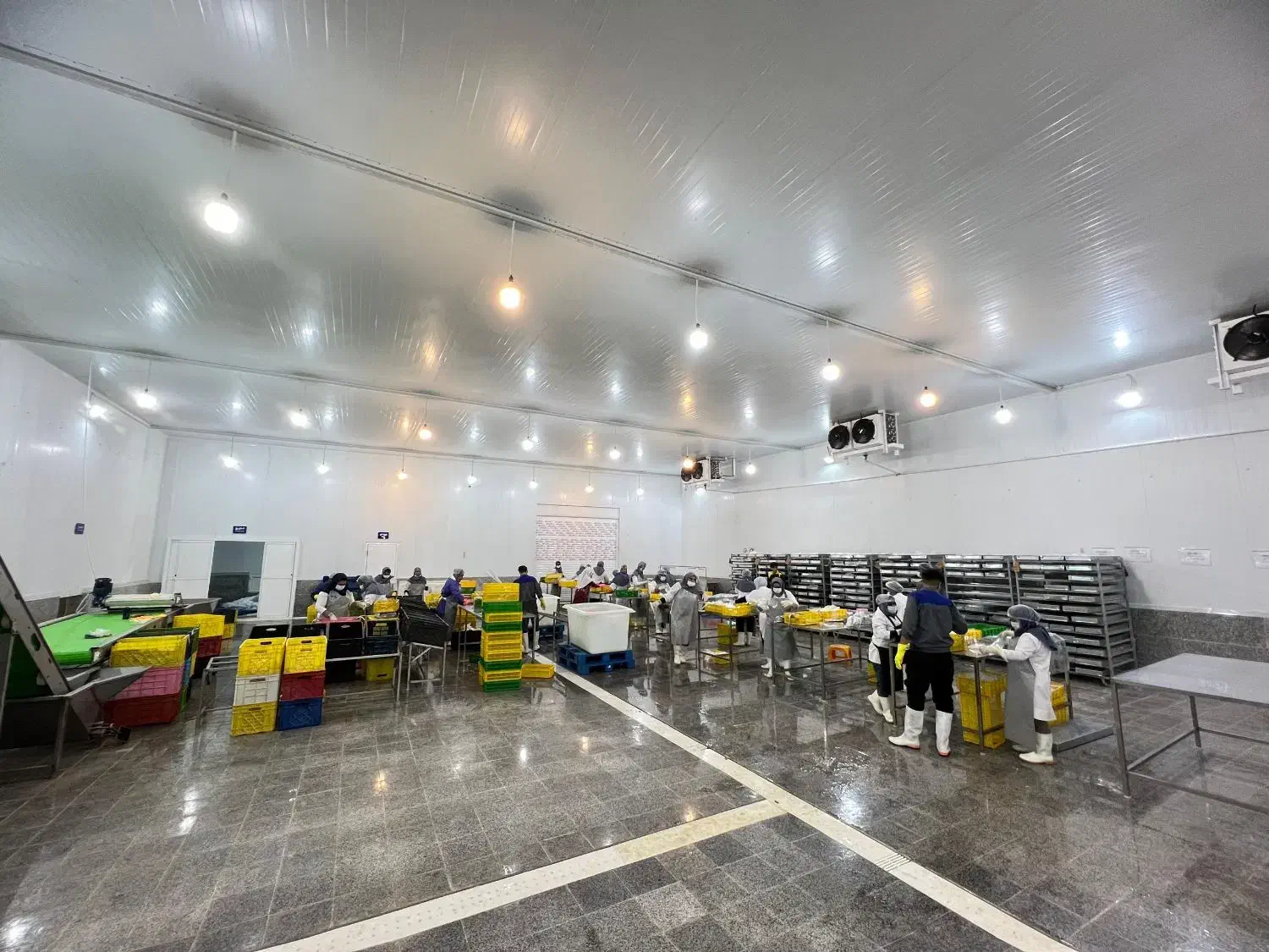 استخدام نظافت چی|استخدام سرایداری و نظافت|بوشهر, |دیوار