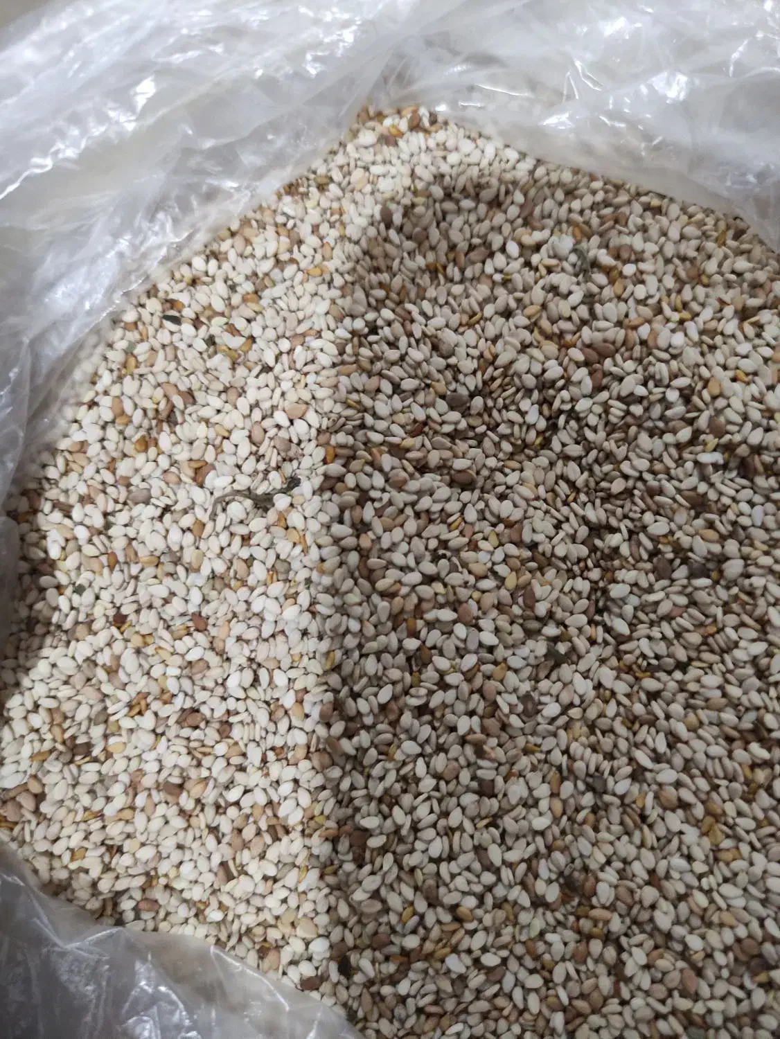 کنجد درجه یک|خوردنی و آشامیدنی|خان ببین, |دیوار