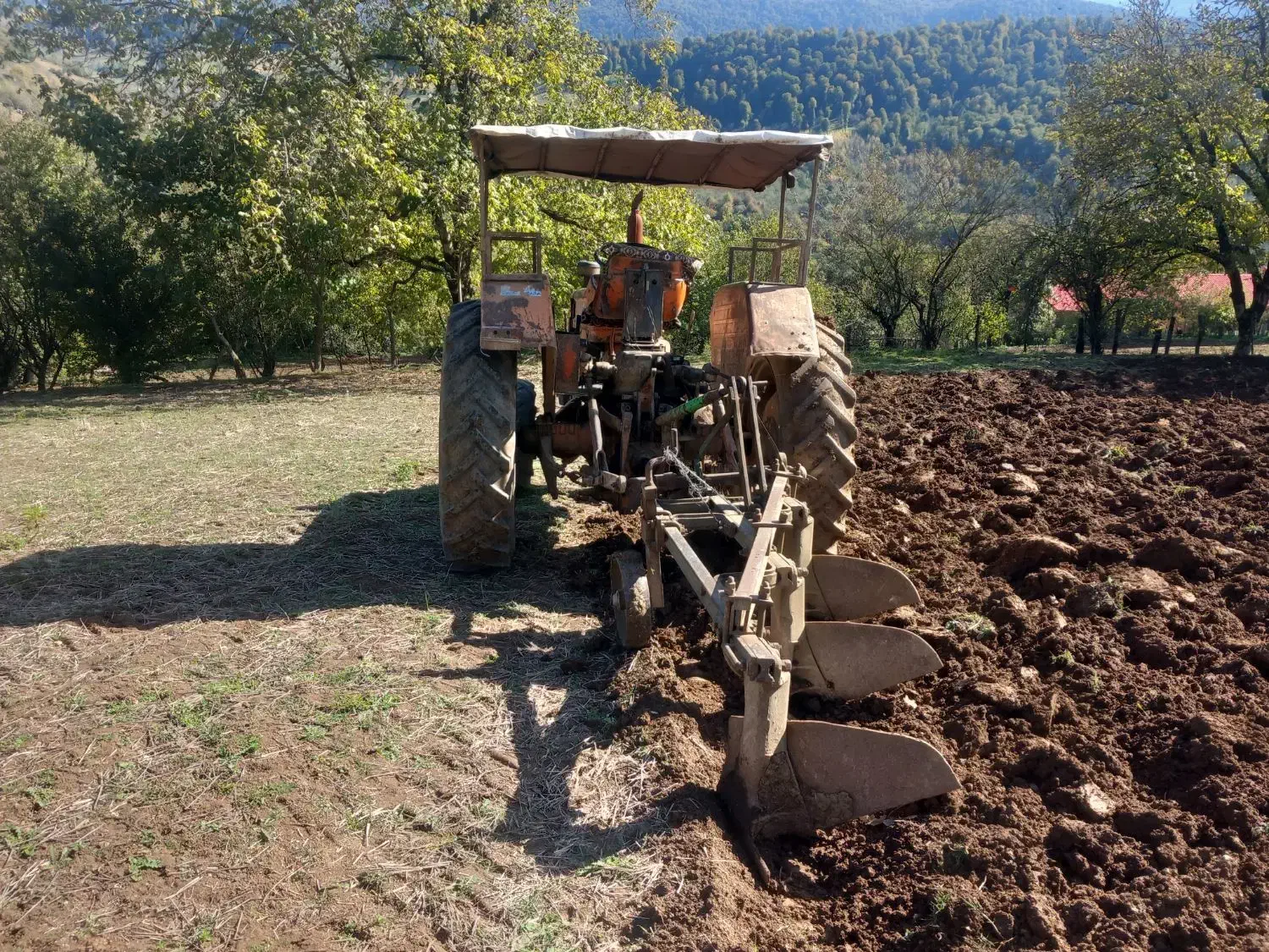 فروش تراکتور رمانی جفت|خودرو سنگین|کیاسر, |دیوار