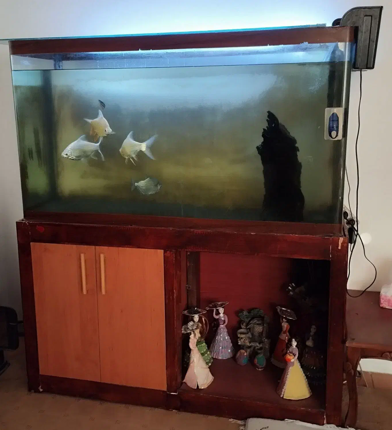 ماهی|ماهی|مشهد, گاز|دیوار