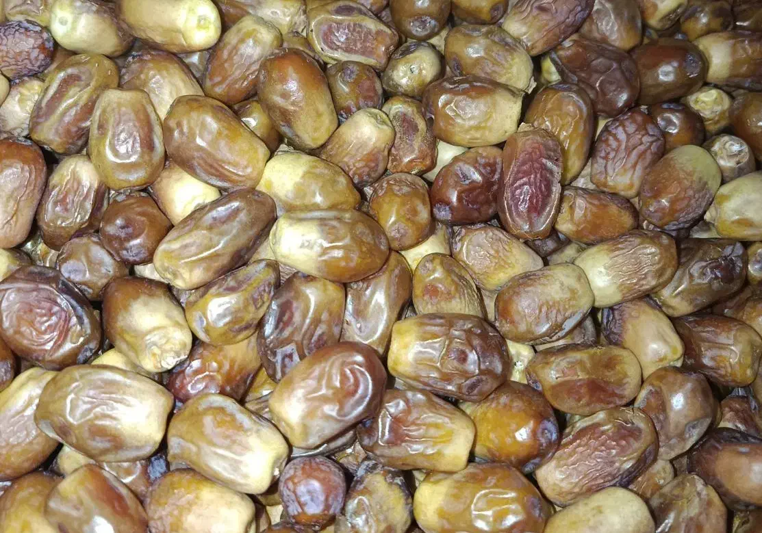 فروش خرمای زاهدی(قصب)|خوردنی و آشامیدنی|افزر, |دیوار