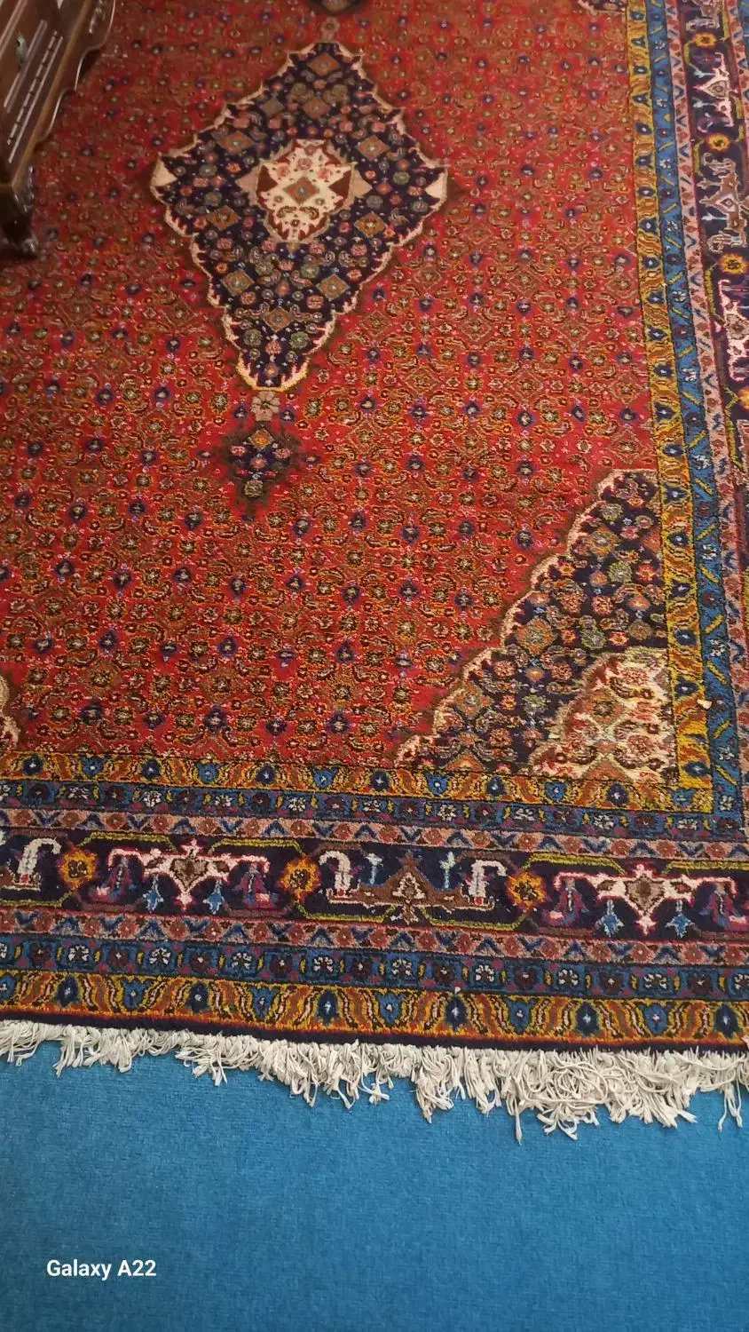 فرش دستبافت جفت ۶ متر ریز ماهی اردبیل|فرش|تهران, خاک سفید|دیوار