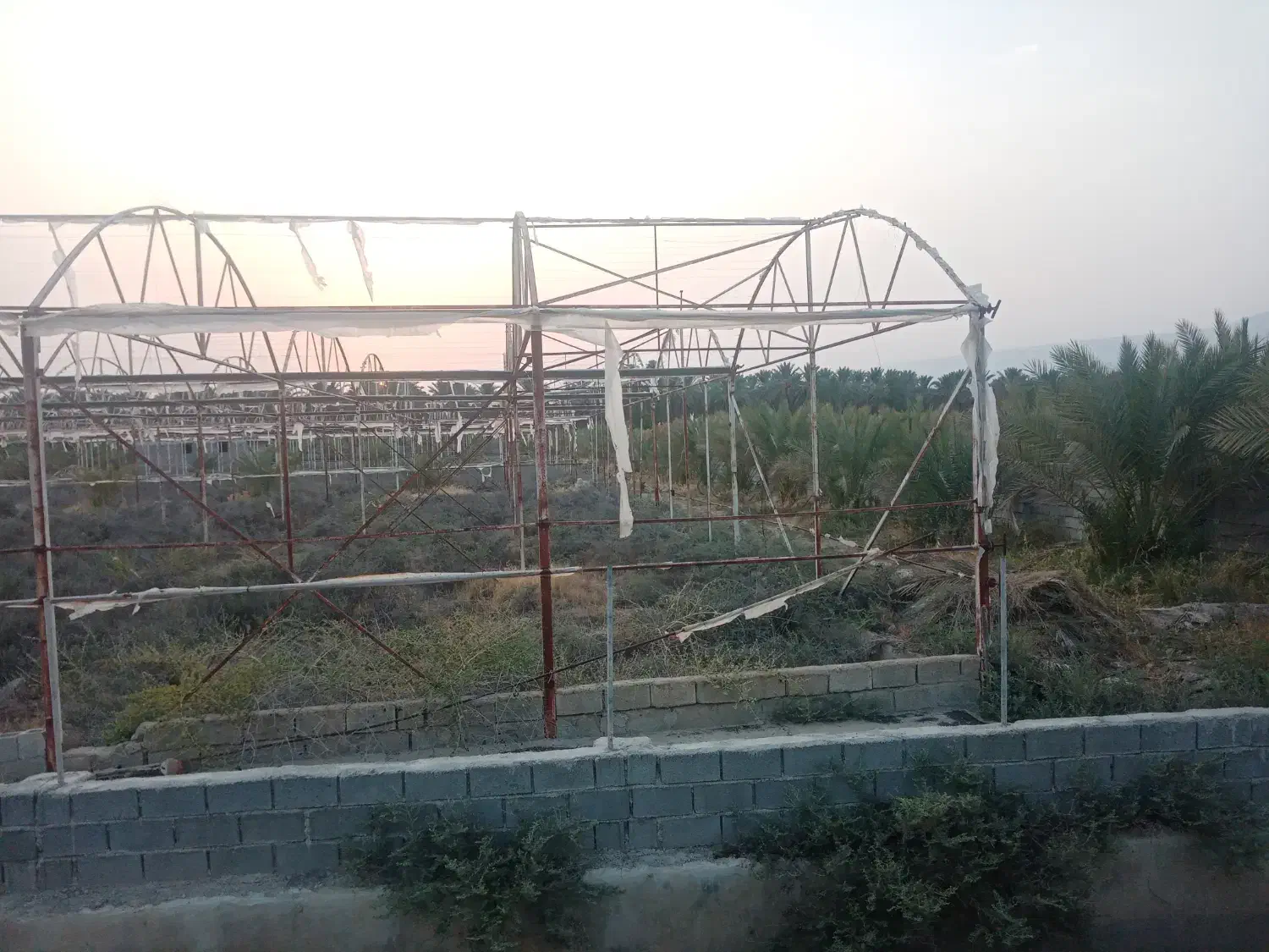 فروش 4000 متر سازه گلخانه|مصالح و تجهیزات ساختمان|فیروزآباد (فارس), |دیوار