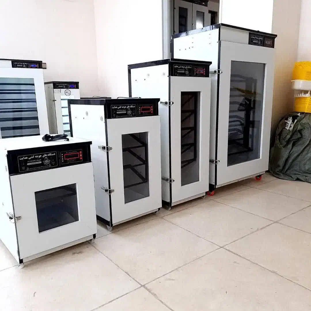 جوجه محلی اصیل زابل و دستگاه جوجه کشی هدایت|حیوانات مزرعه|زابل, |دیوار