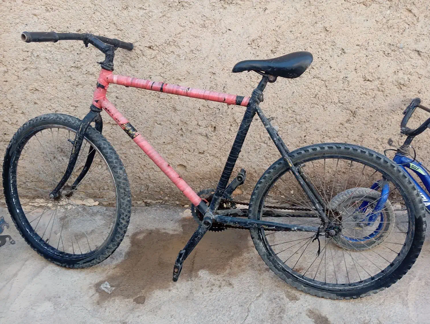 26 تنه آساک|دوچرخه، اسکیت، اسکوتر|کرباسک, |دیوار