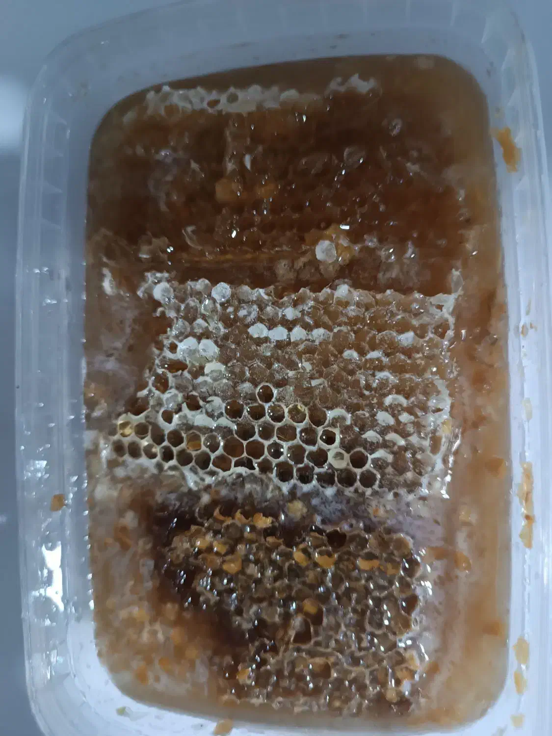 عسل کنار خالص و عسل کنار همراه با موم|عمدهفروشی|لامرد, |دیوار