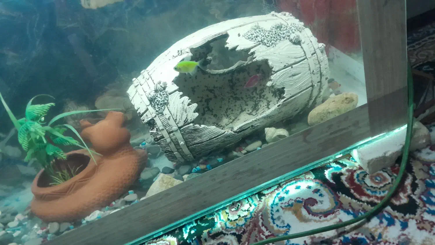 ماهی|ماهی|شیراز, کوشک میدان|دیوار