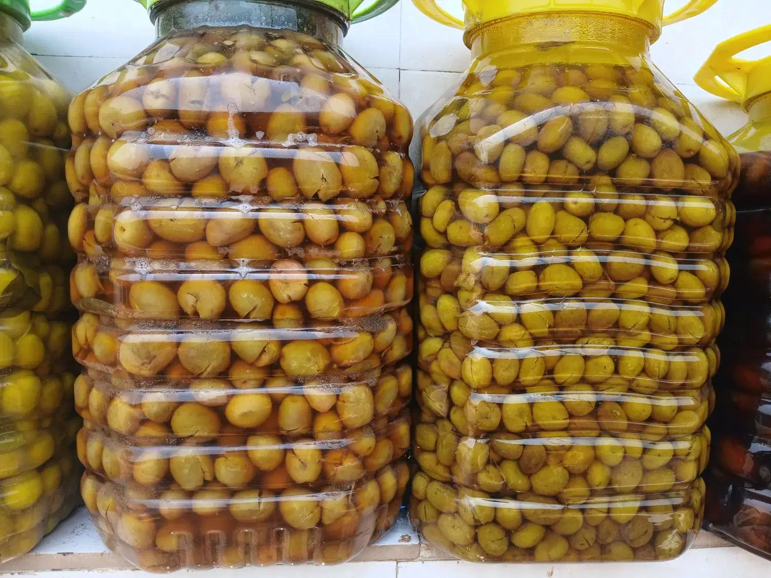 کلکسیون زیتون|کلکسیون و سرگرمی|رودبار, |دیوار