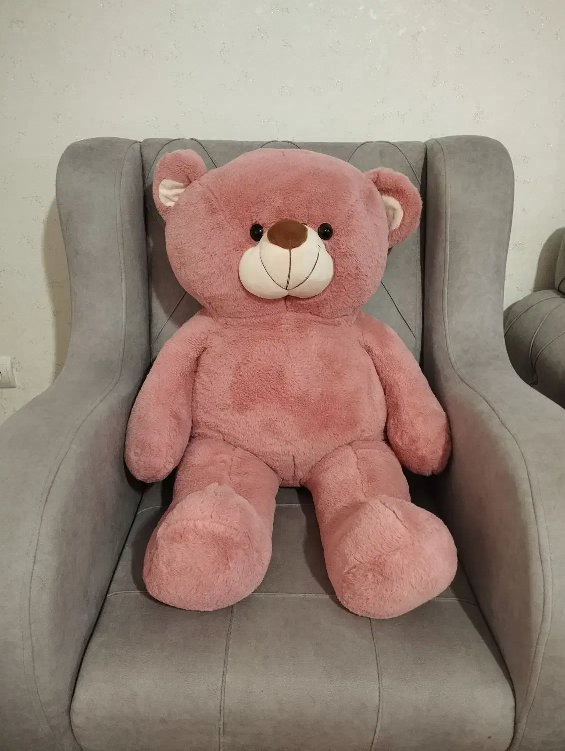 خرس بزرگ|اسباب‌بازی بچه|سهند, |دیوار