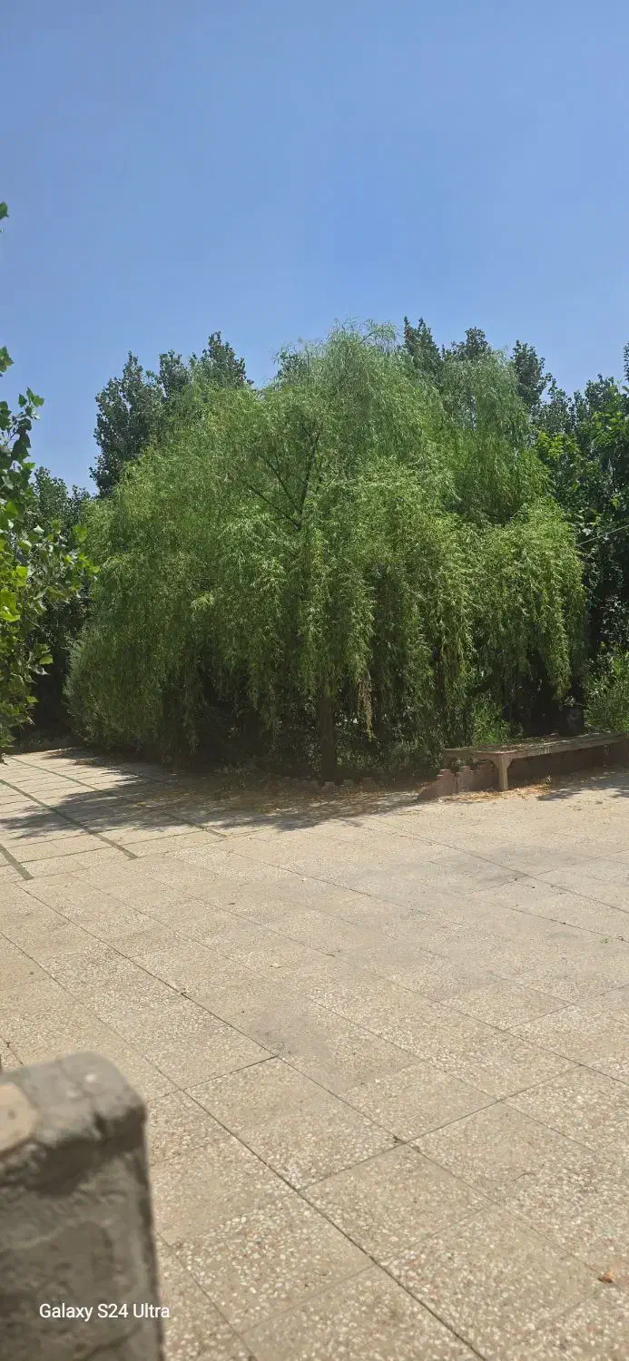 باغ ۱۰۰۰ متری ۴ دیواری|فروش خانه و ویلا|احمدآبادمستوفی, |دیوار