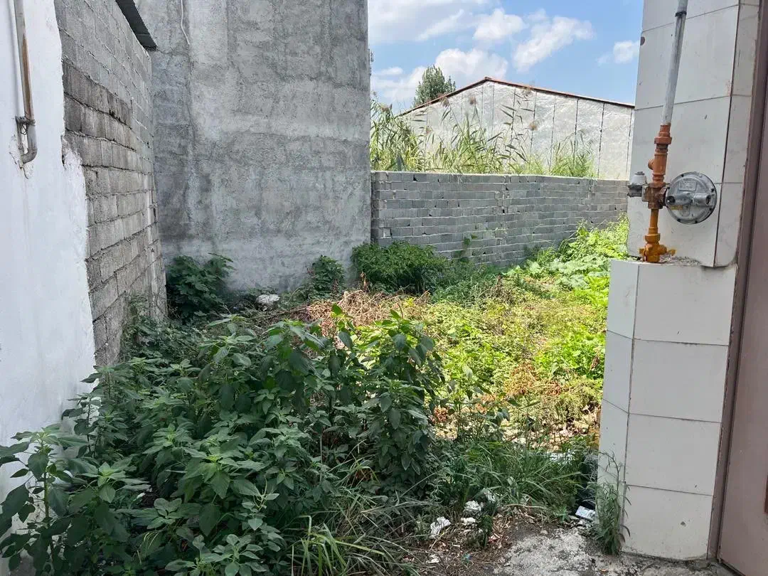 زمین فروشی۱۱۴ متر|فروش زمین و ملک کلنگی|قائم‌شهر, |دیوار