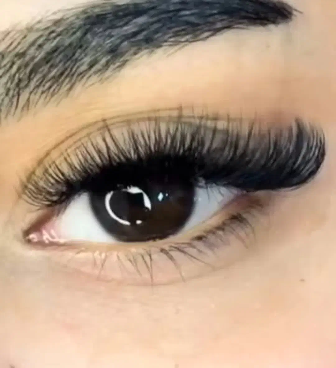 لیفت واکستنشن مژه با6سال سابقه کارتخفیفات شروع شد|خدمات آرایشگری و زیبایی|کاشان, زیدی|دیوار