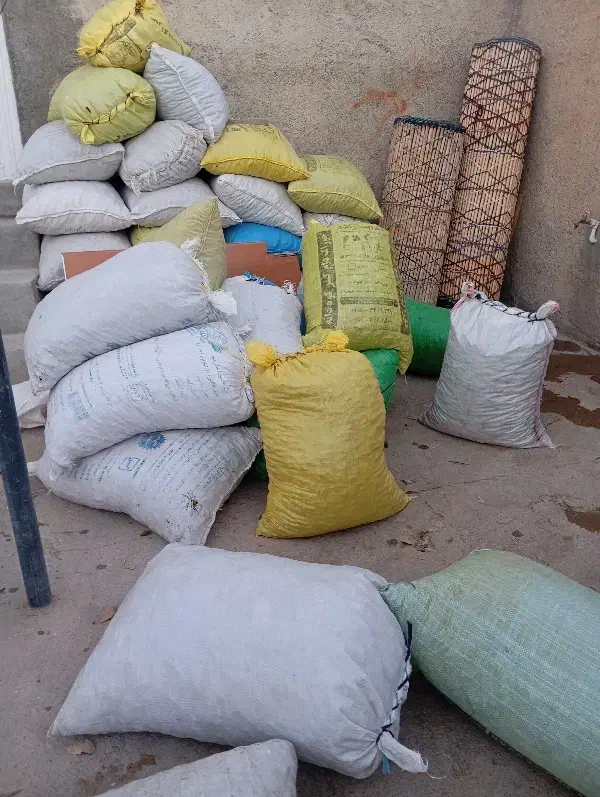 400|خدمات باغبانی و درختکاری|گچی, |دیوار