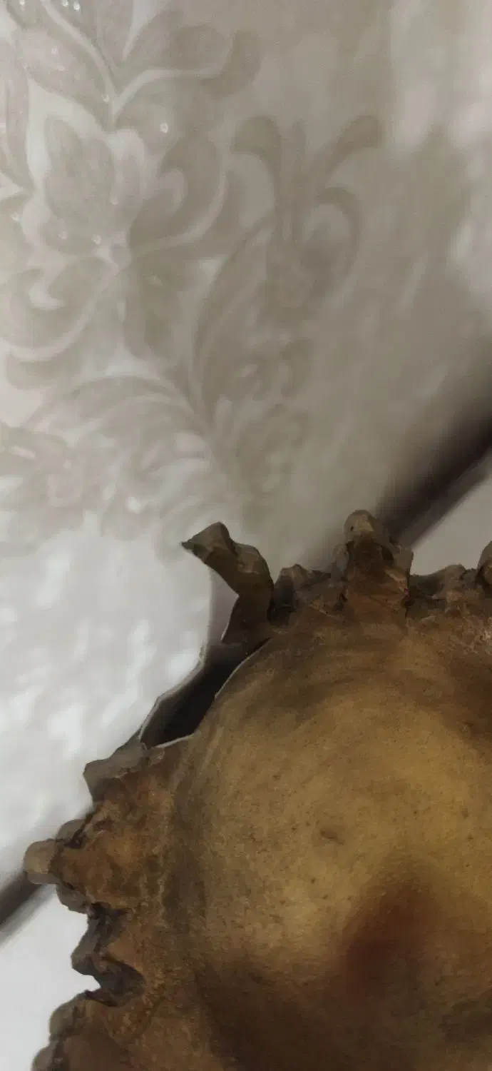 مجسمه|مجسمه، تندیس، ماکت|شهرکرد, |دیوار