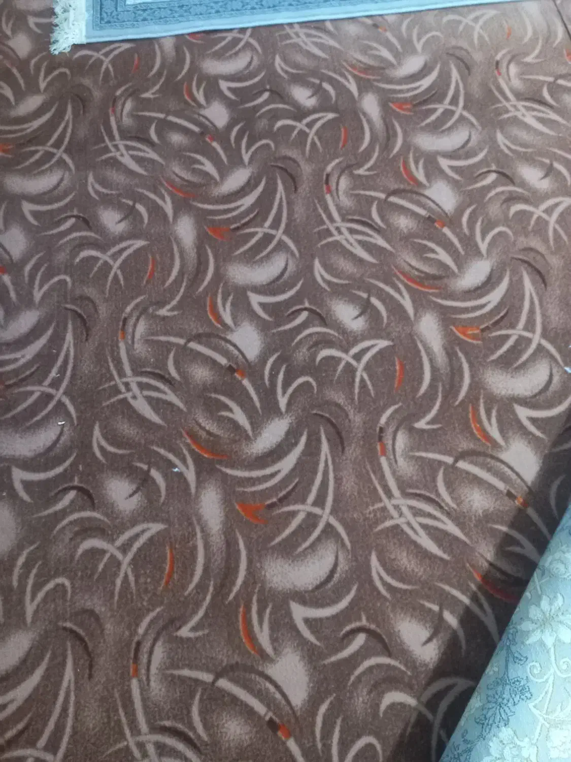 موکت|موکت|دورود, |دیوار