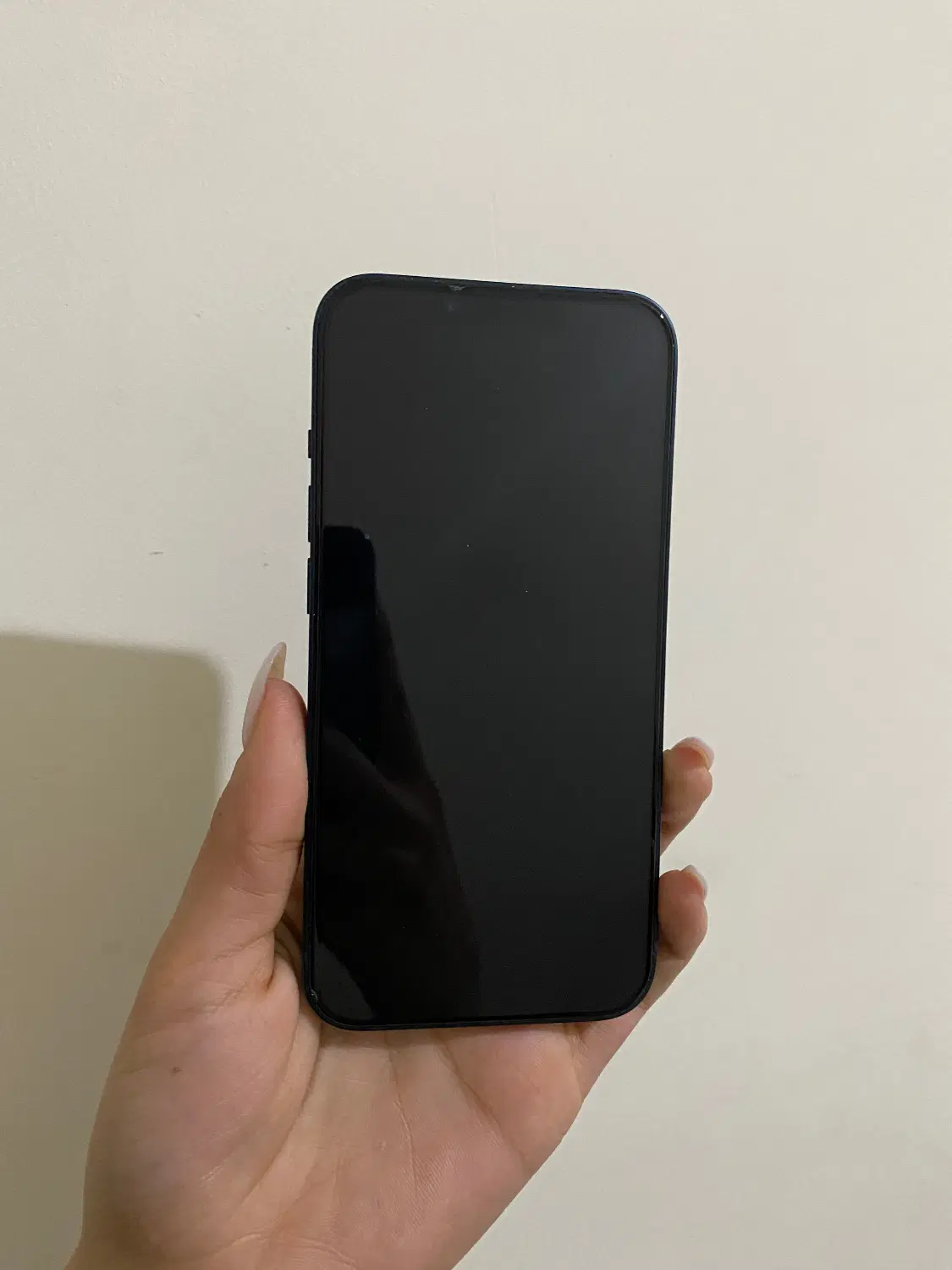 iPhone 13 Normal|موبایل|رشت, سعدی (تختی)|دیوار