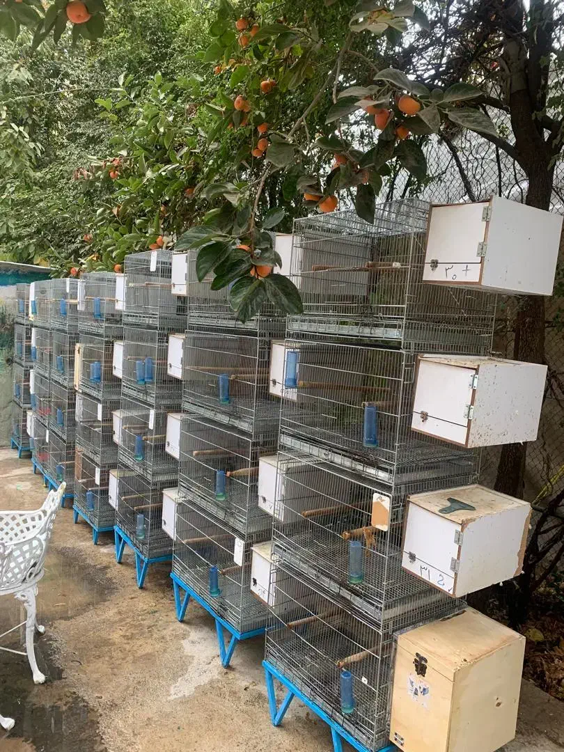 قفسه جفت خان تعداد 8جفت هر جفت 4 عدد|لوازم جانبی حیوانات|تهران, درکه|دیوار