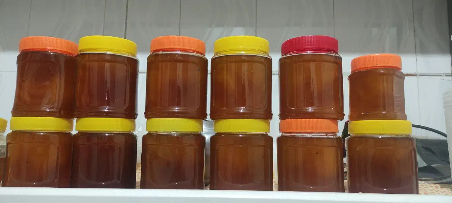 عسل عمدە و خردە|حراج|بانه, |دیوار