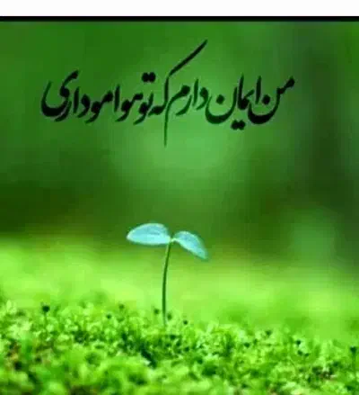 پیک موتوری.|استخدام حمل و نقل|تهران, آرژانتین|دیوار