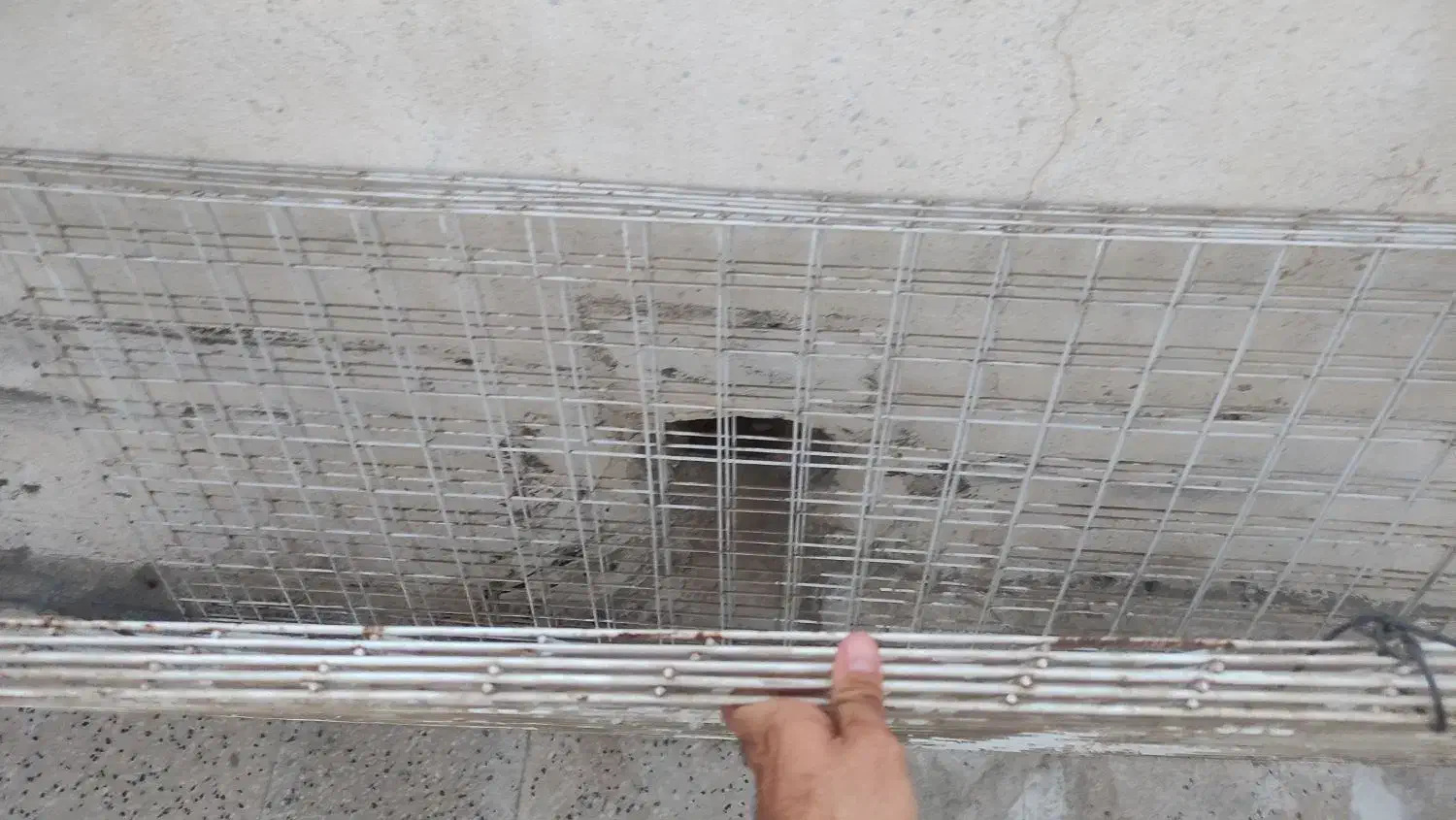 گل بنسای|گل و گیاه طبیعی|شیراز, شیشهگری|دیوار