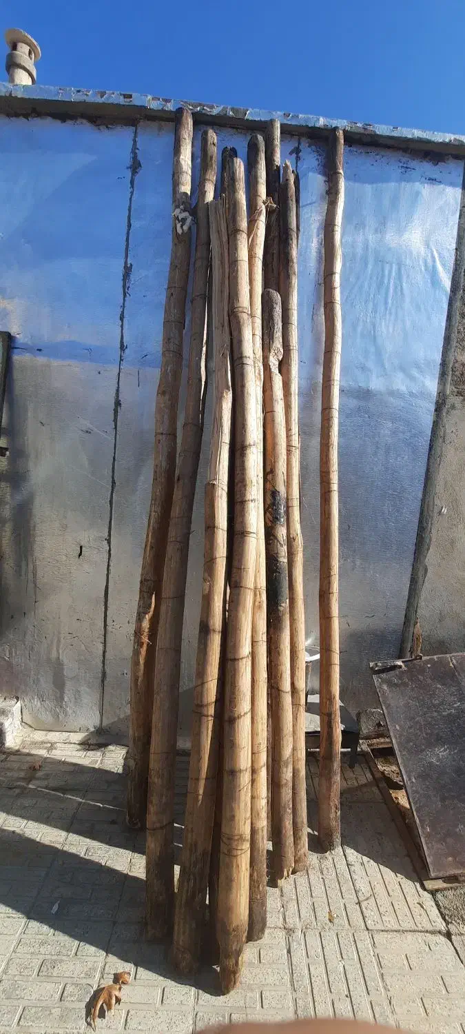 چوب درجه یک|عمده‌فروشی|کوهدشت, |دیوار