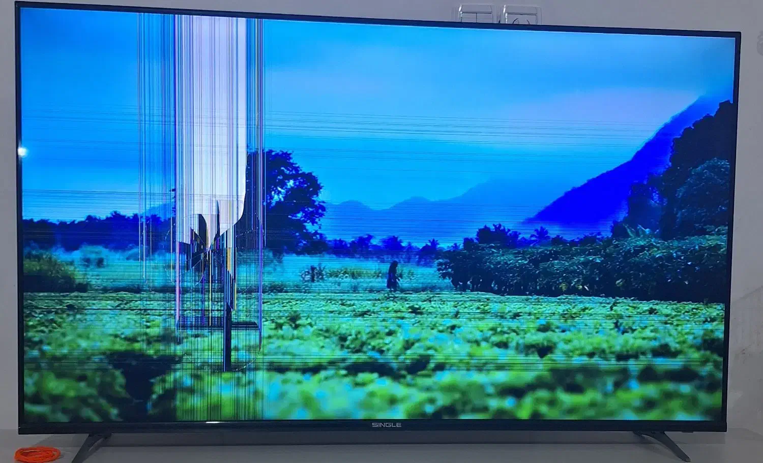 تلویزیون|تلویزیون و پروژکتور|سیرجان, |دیوار