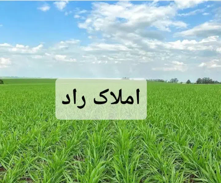 زمین کشاورزی/۲۸۰۰متر/حشمت اباد|فروش دفتر صنعتی، کشاورزی، تجاری|دورود, |دیوار