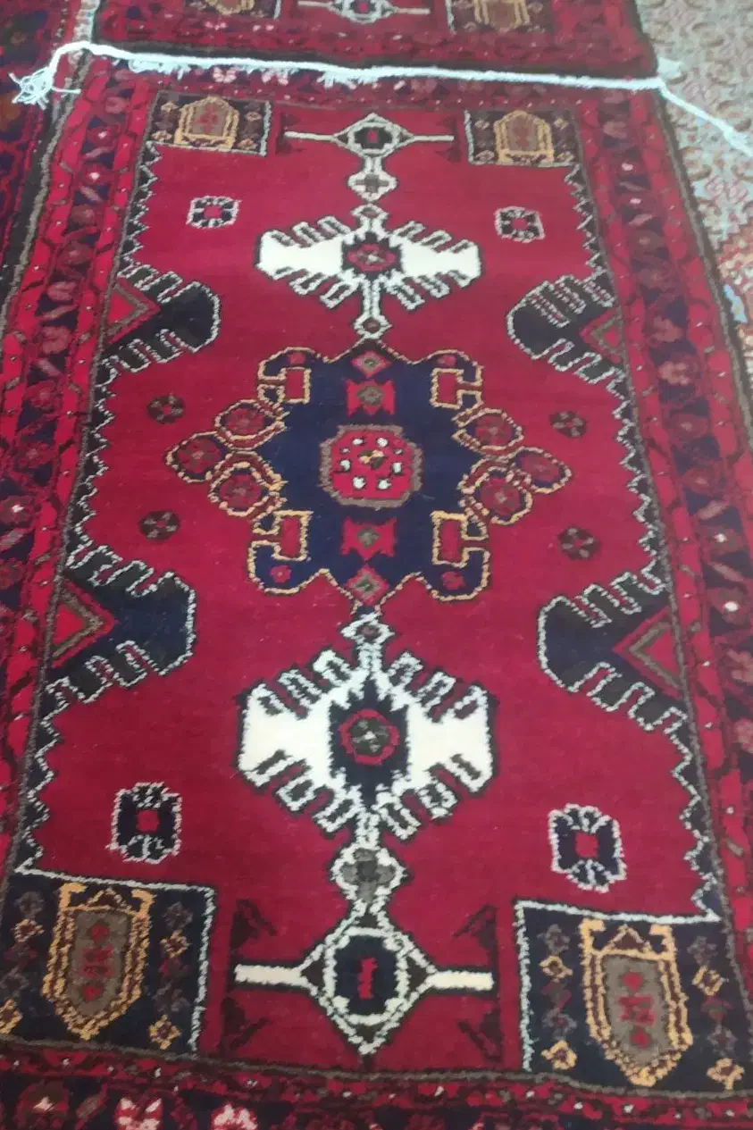 فرش دستباف|فرش|ابهر, |دیوار