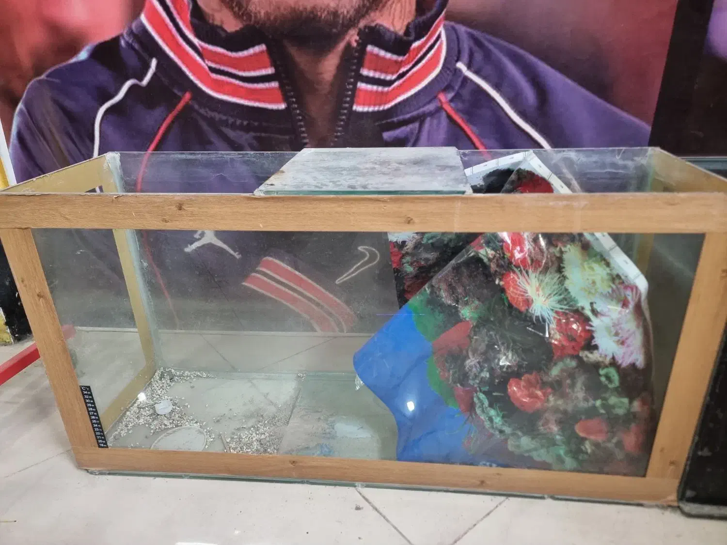 آکواریوم|ماهی|شهرضا, |دیوار